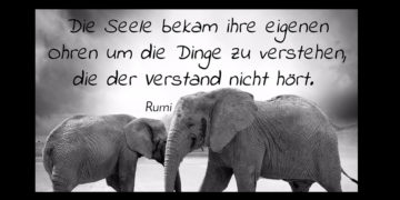 Get Zitate seelenpartner For iPhone