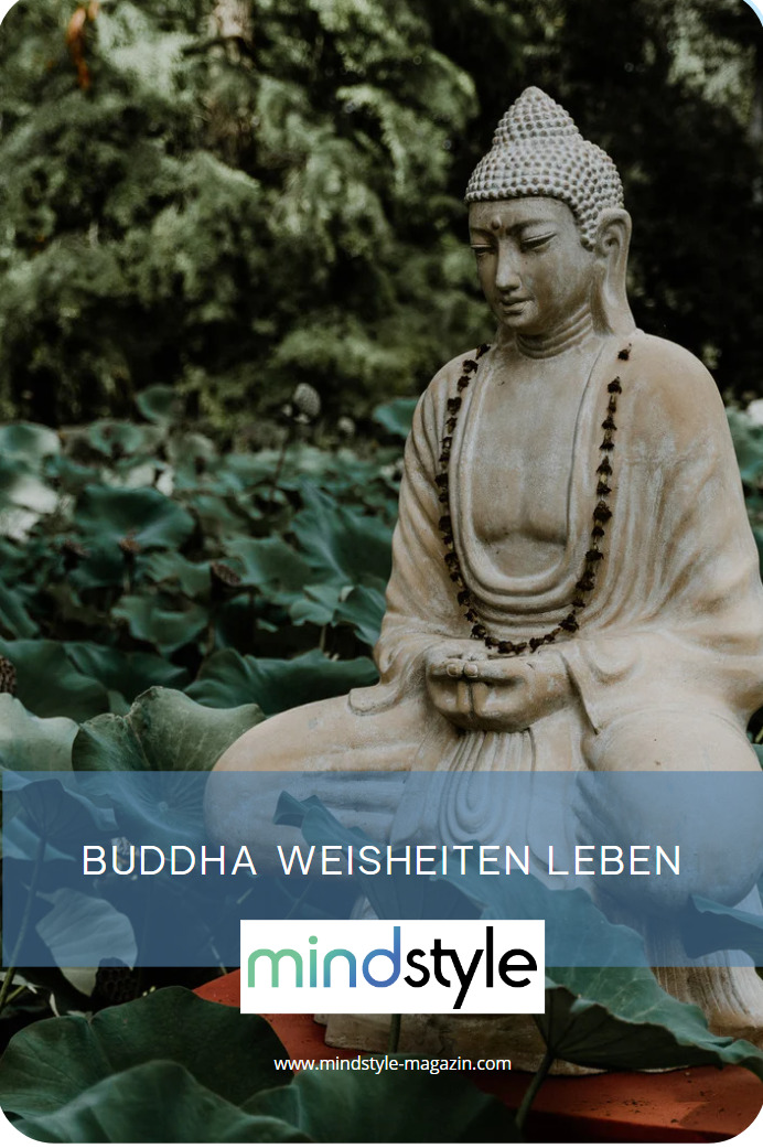 Buddha Sprüche für Kraft Zitat Weisheit Buddhismus