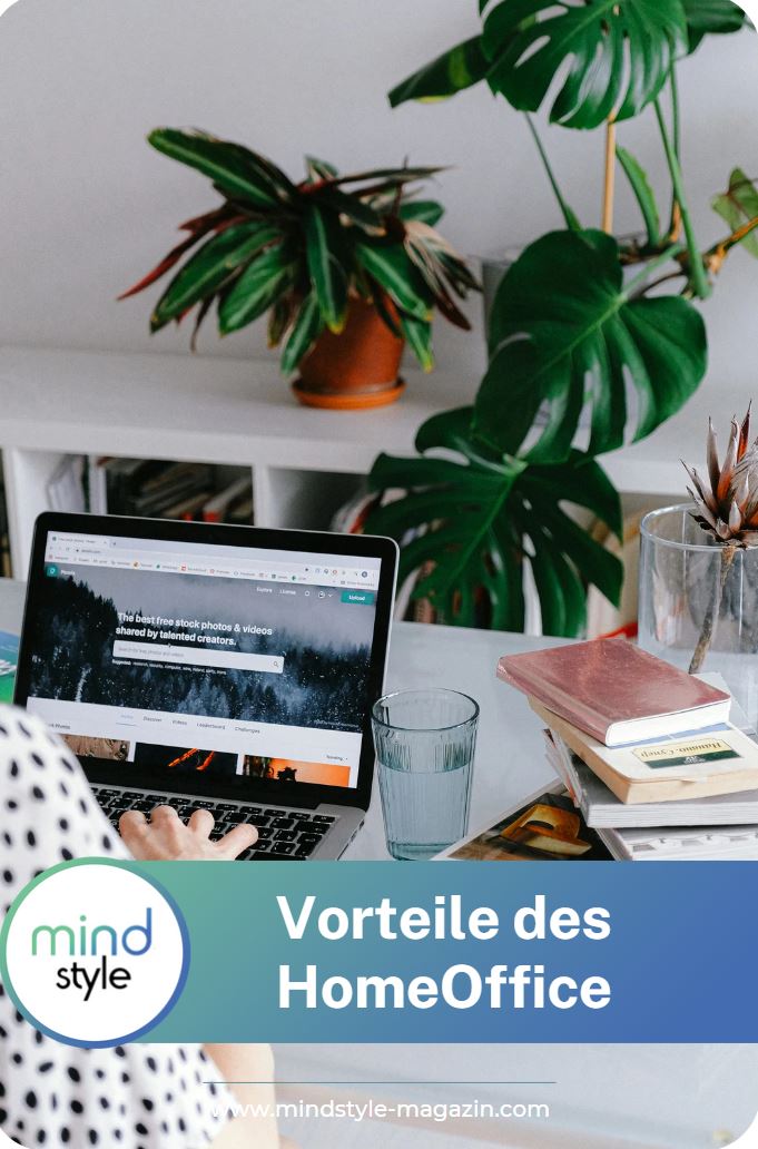 Home Office Mindset Die Vor und Nachteile Homeoffice