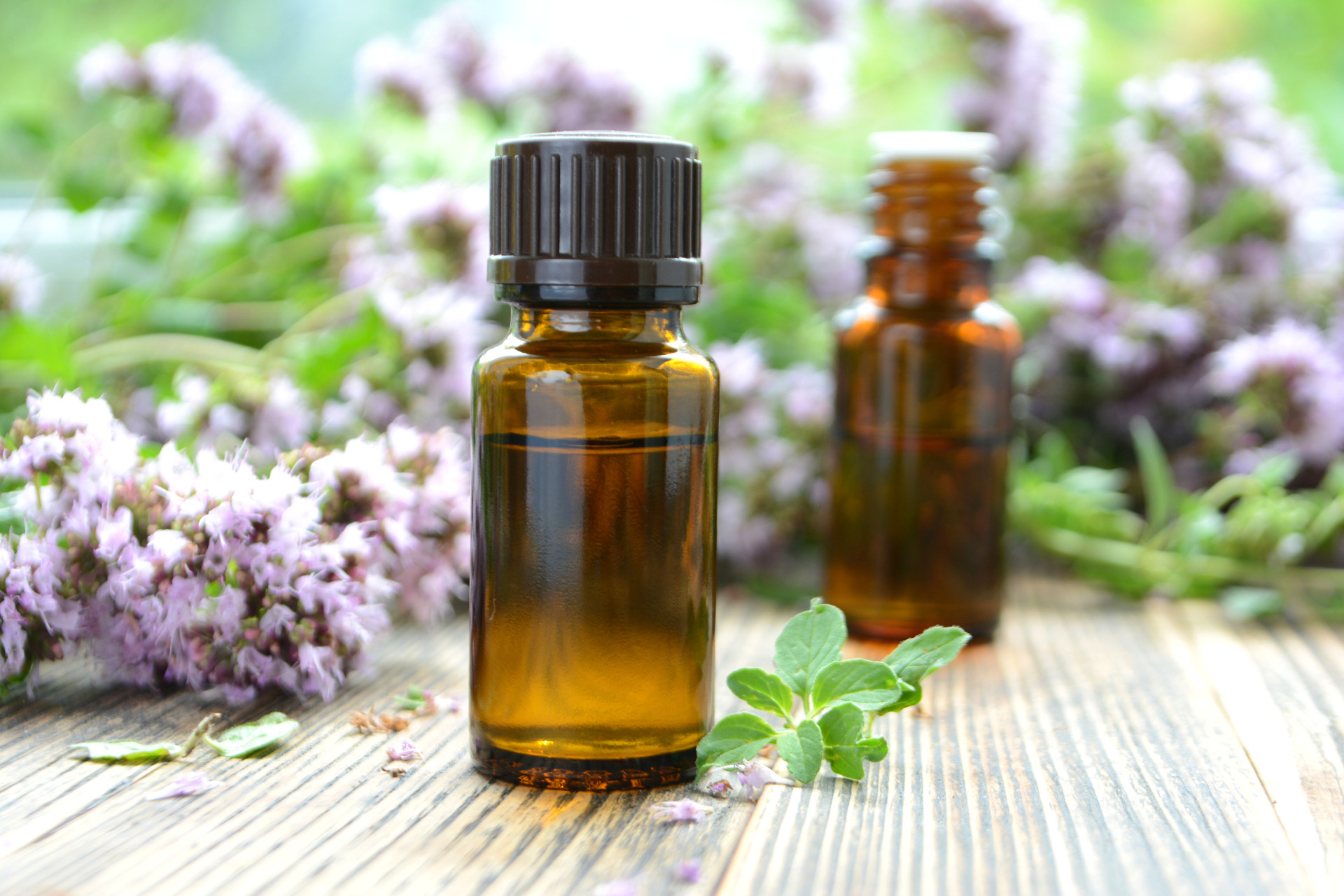 Ätherisches Zitronengrasöl Von Now Foods – 118 Ml – Für Aromatherapie & Wellness