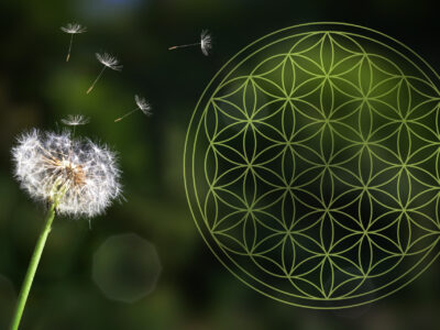 Blume des Lebens: Harmonie und Schutz durch die heilige Geometrie der Lebensblume
