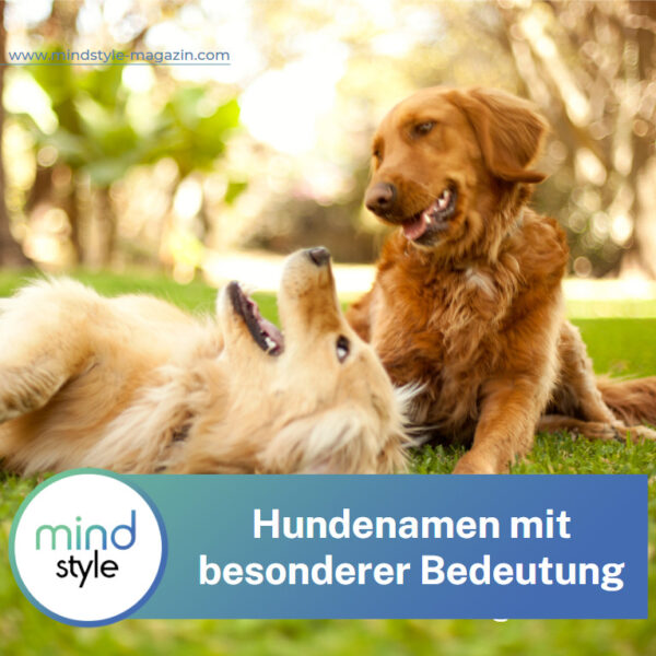 Elegantes Freche Hundenamen Mnnlich Bild