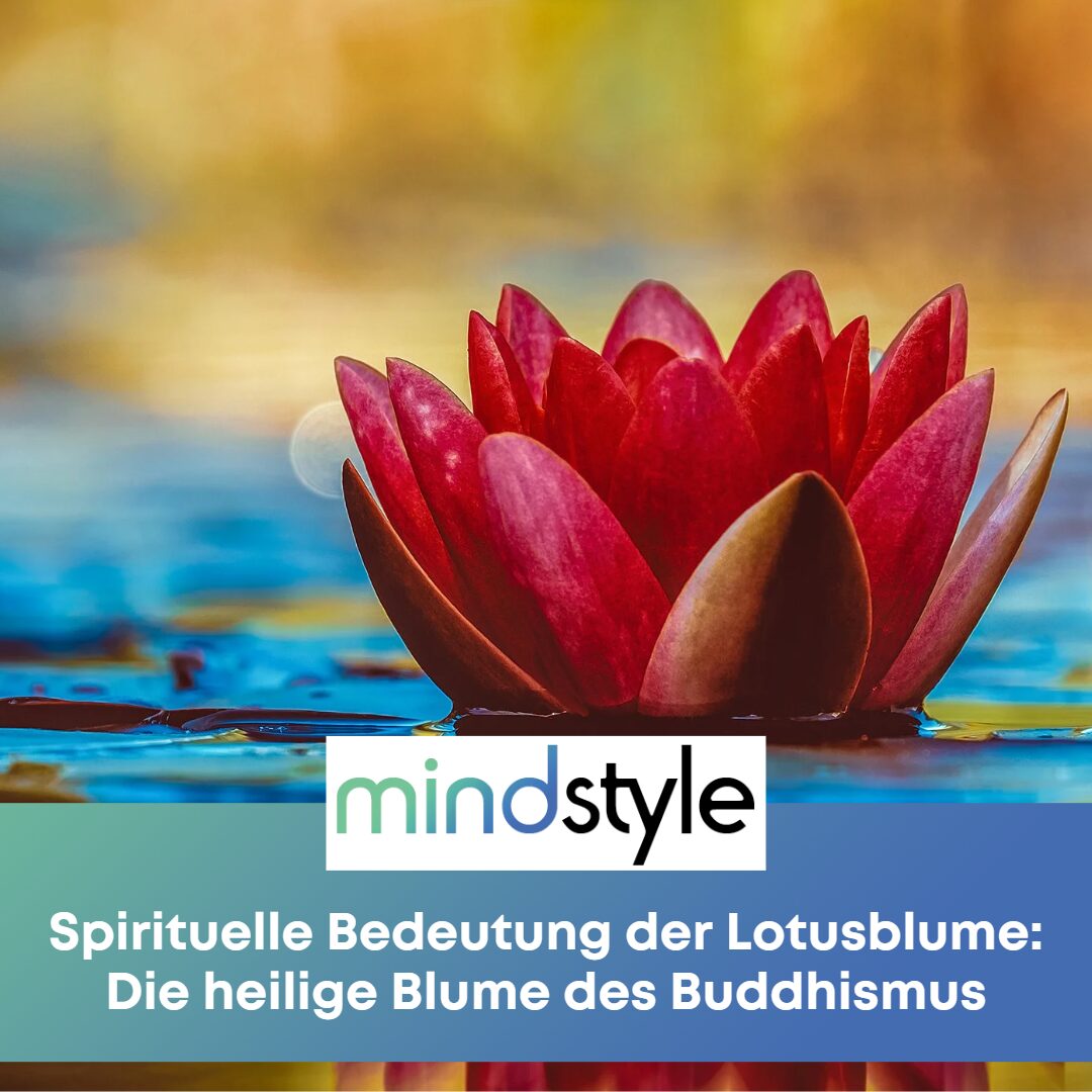 Artery8 Buddha Lotusblume Grußkarte – Spirituelle Genesungskarte – Blanko Innen – 17,5x12,5 Cm