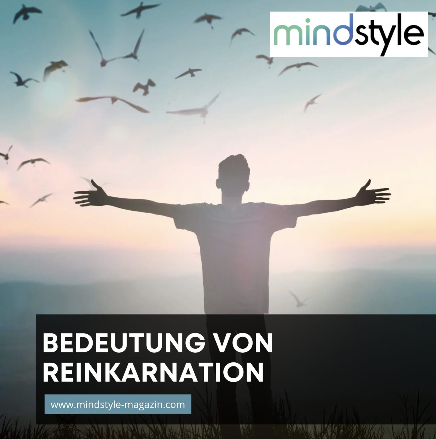 Bedeutung von Reinkarnation in Religion und Kultur