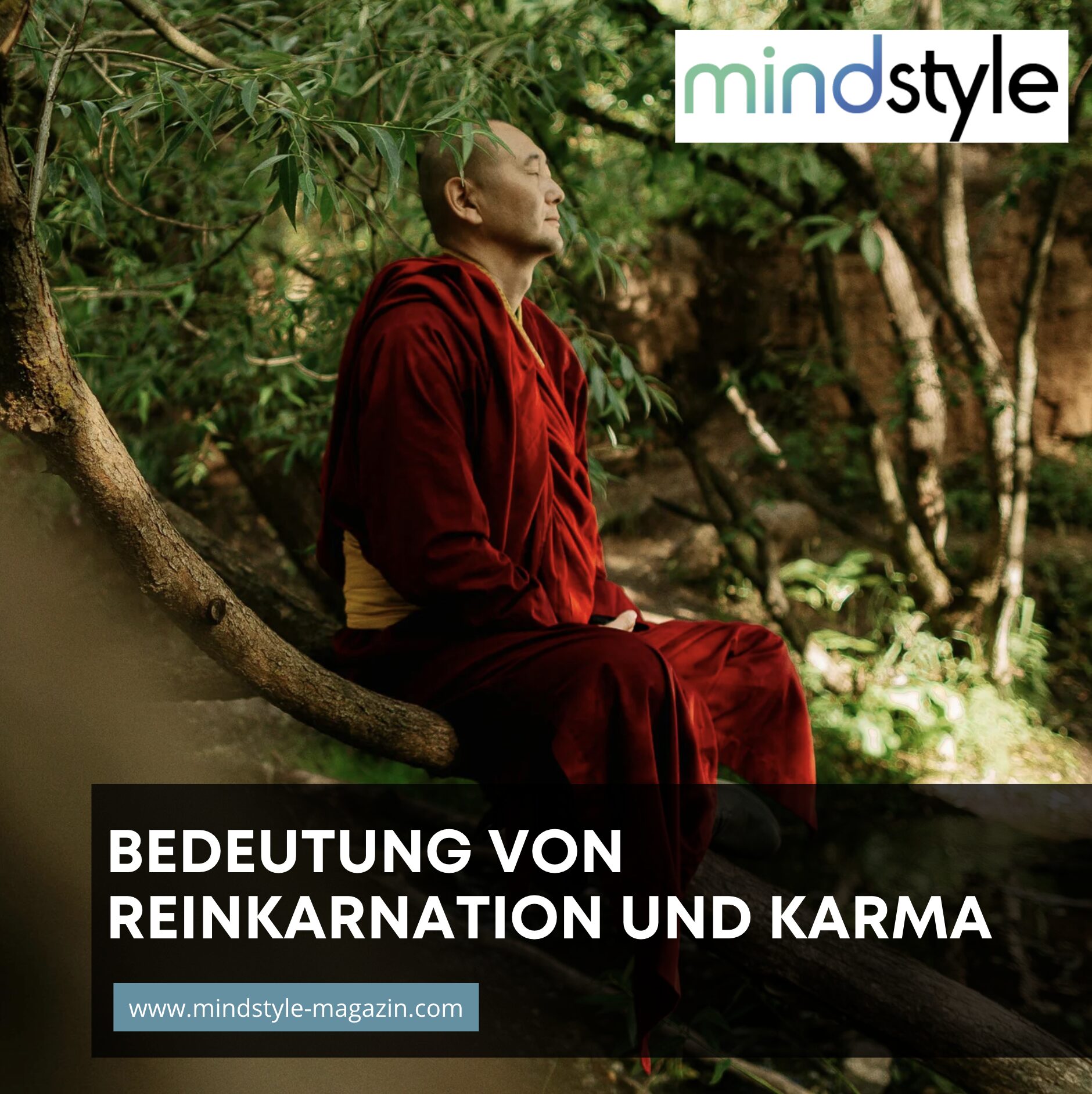 Bedeutung von Reinkarnation und Karma Bedeutung von Reinkarnation und Karma